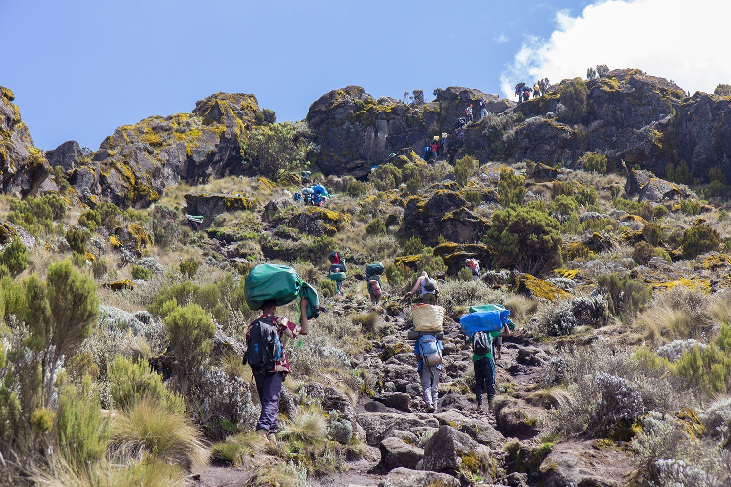 06 Days Mt. Kilimanjaro | Rongai Route