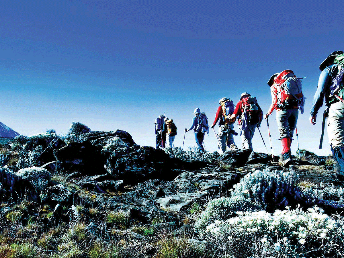 09 Days Mt. Kilimanjaro | Machame Route