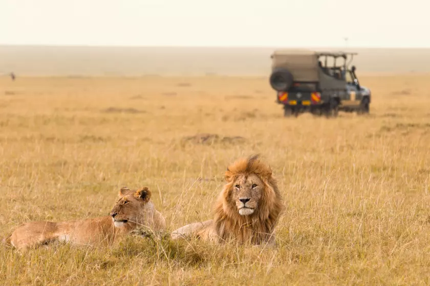 10 Days & 9 Nights Kenya Safari