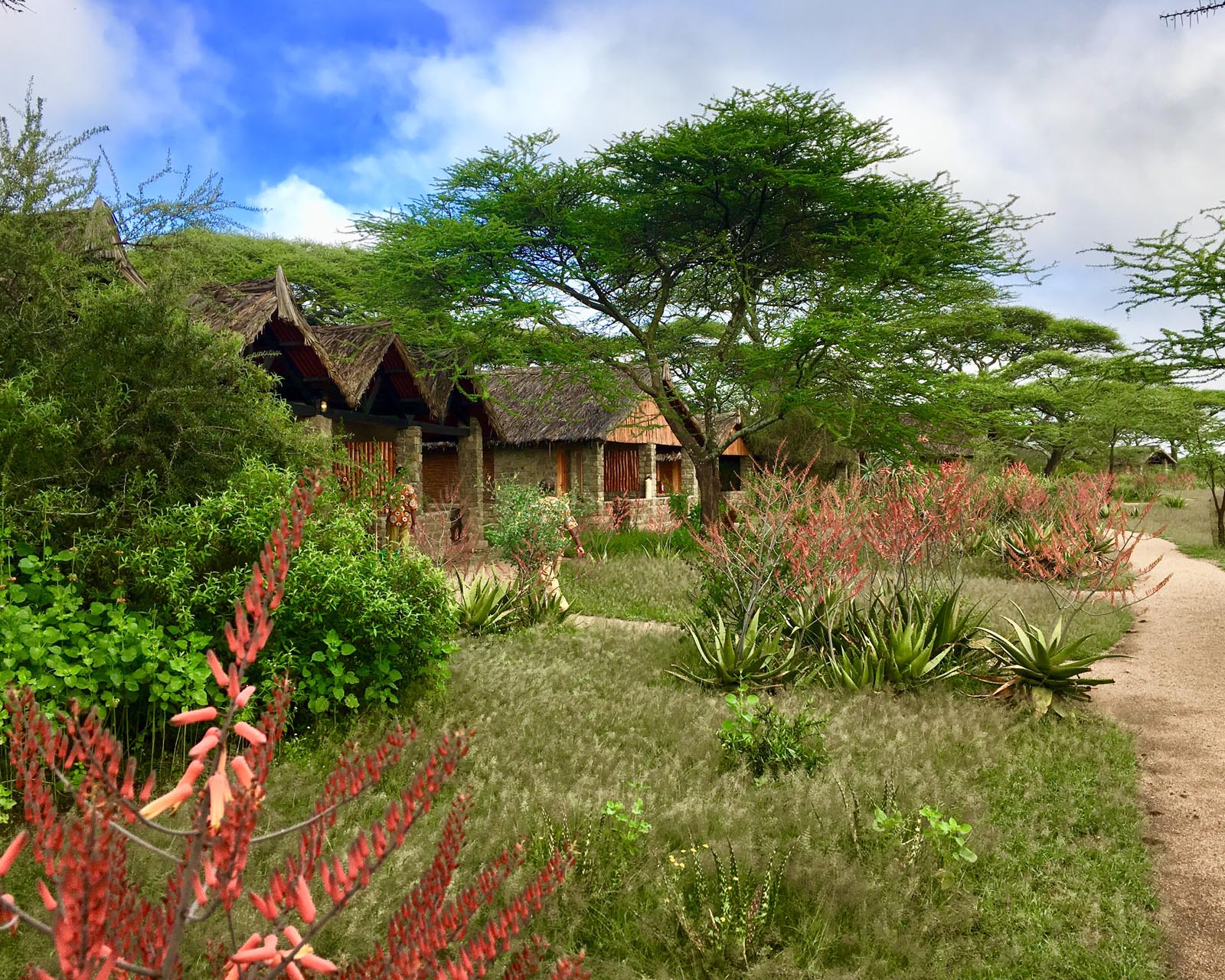 Ndutu-Safari-lodge-rainy-season