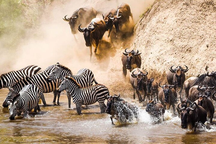 5 days river crossing safari